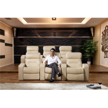 Living Room Genuine Leather Sofa (795)